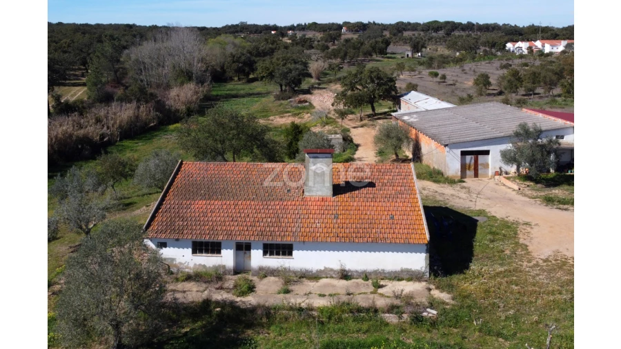 Quinta T5 para Venda em Abela Foto 22