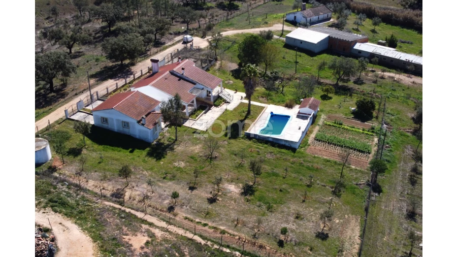 Quinta T5 para Venda em Abela Foto 6