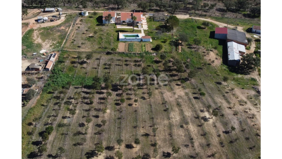 Quinta T5 para Venda em Abela Foto 5