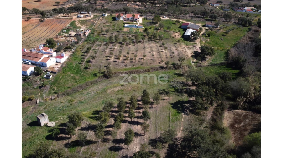 Quinta T5 para Venda em Abela Foto 7