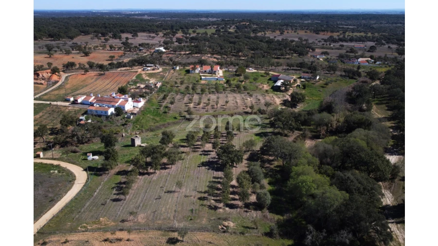 Quinta T5 para Venda em Abela Foto 9