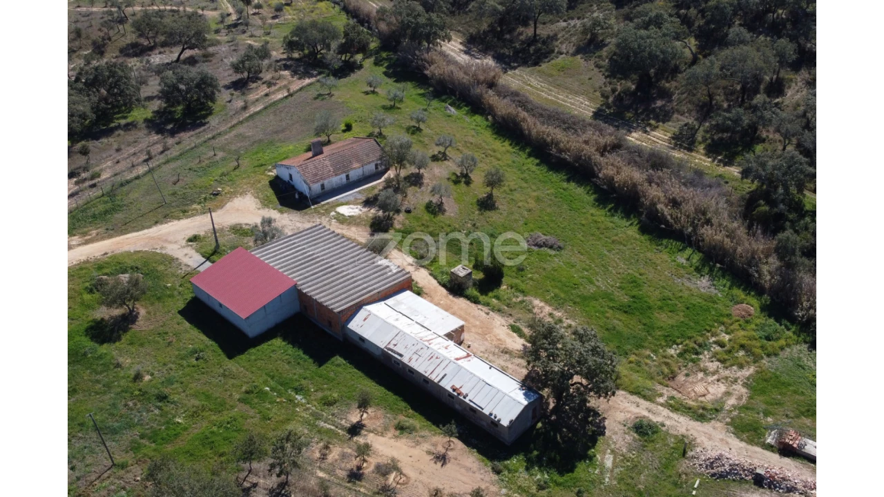 Quinta T5 para Venda em Abela Foto 10