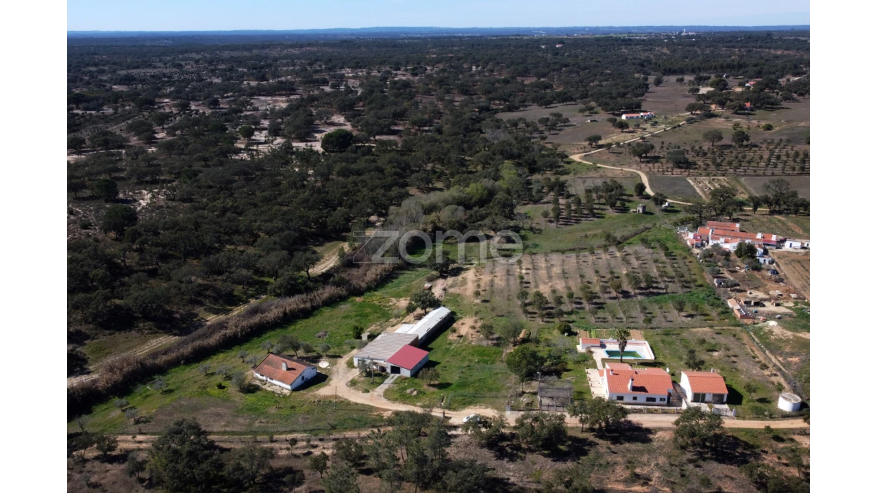 Quinta T5 para Venda em Abela Foto 12