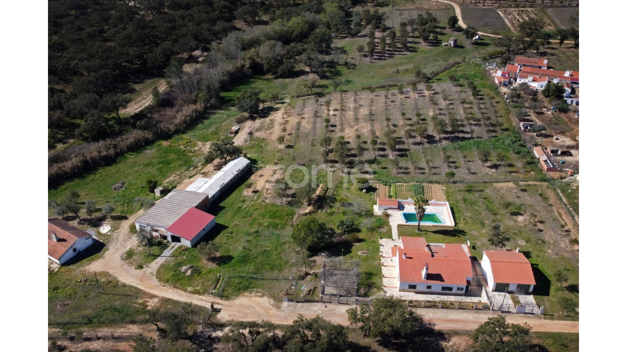 Quinta T5 para Venda em Abela Foto 13
