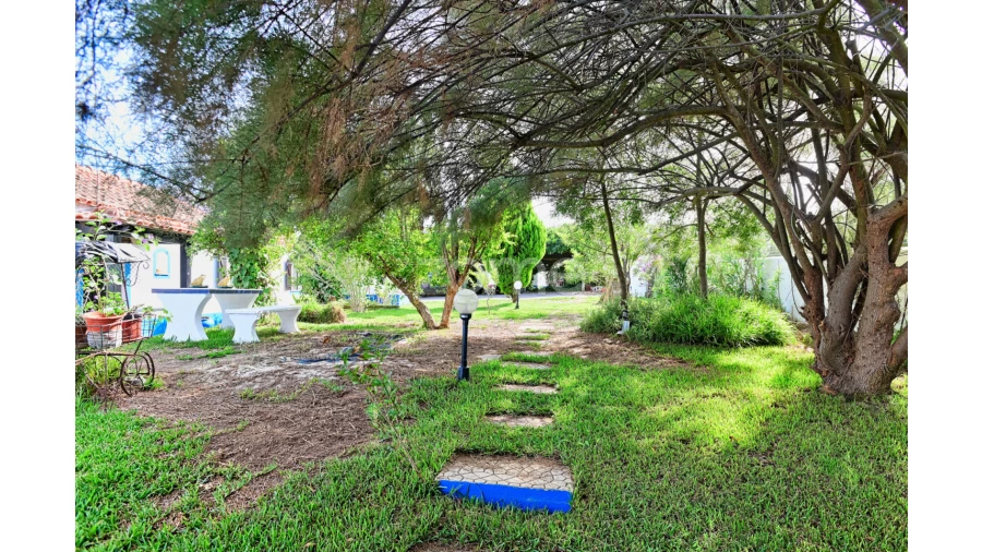 Quinta T5 para Venda em São Domingos e Vale de Água Foto 35