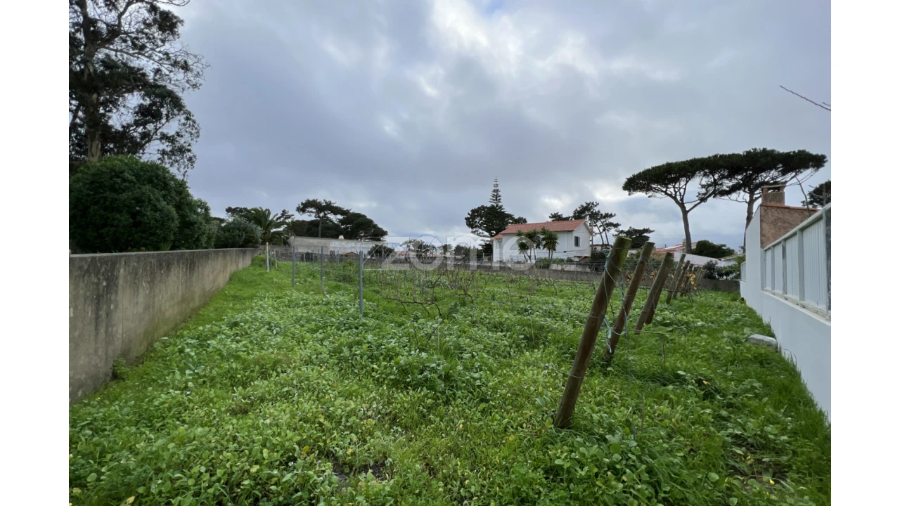 Terreno para Venda em São João das Lampas e Terrugem Foto 6