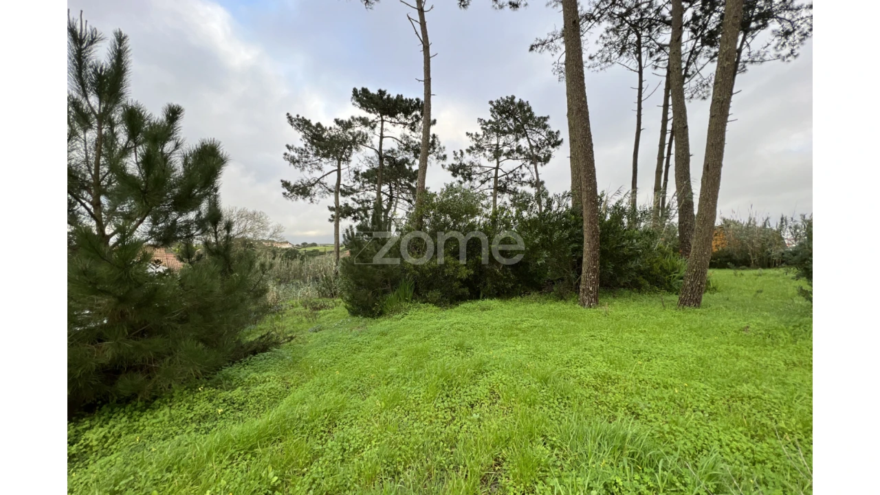 Terreno para Venda em São João das Lampas e Terrugem Foto 5