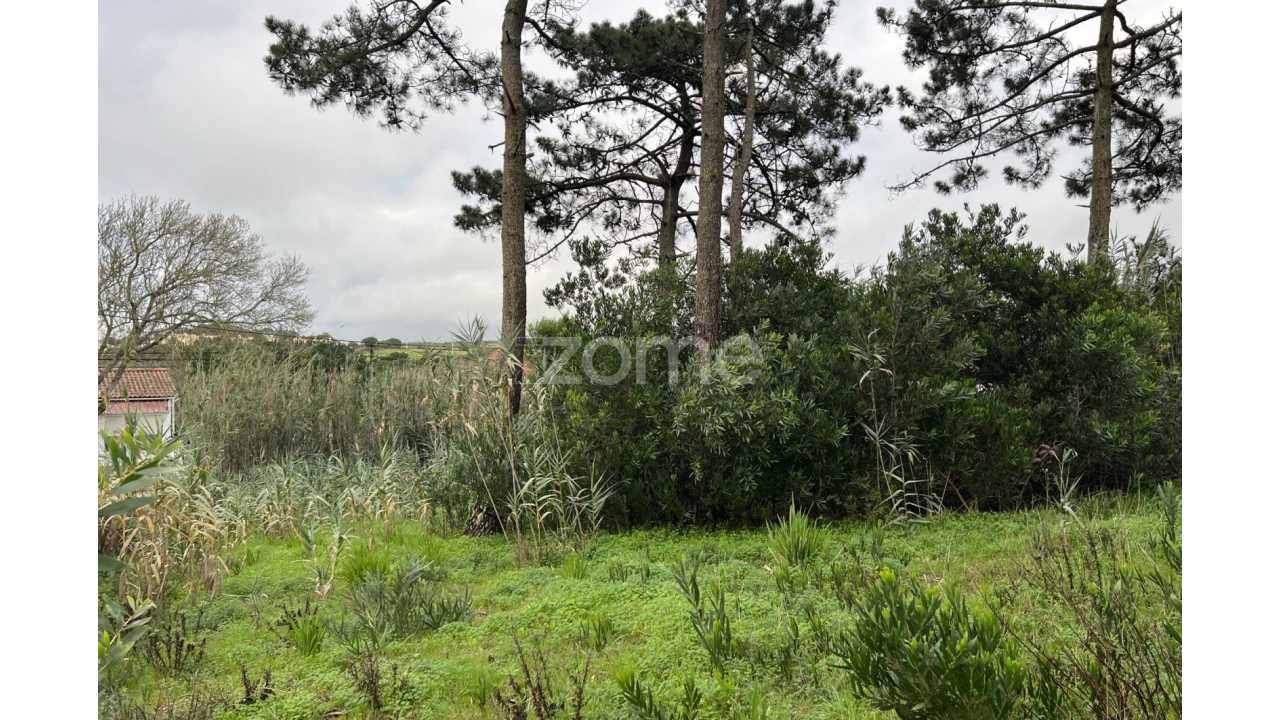 Terreno para Venda em São João das Lampas e Terrugem Foto 8
