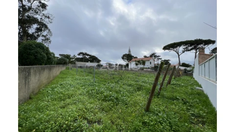 Terreno para Venda em São João das Lampas e Terrugem