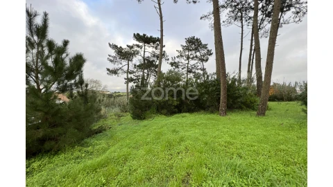 Terreno para Venda em São João das Lampas e Terrugem