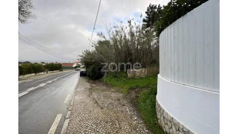 Terreno para Venda em São João das Lampas e Terrugem