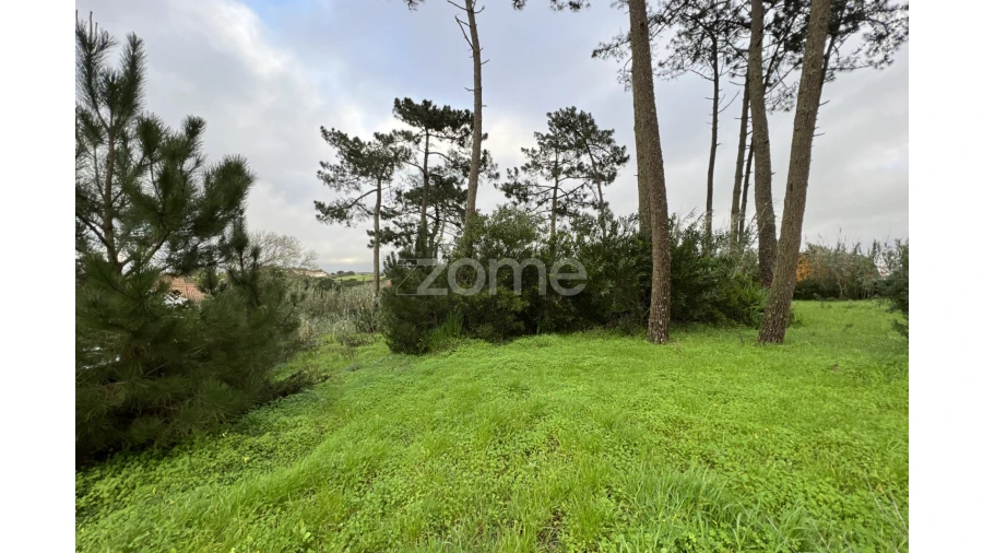 Terreno para Venda em São João das Lampas e Terrugem Foto 5
