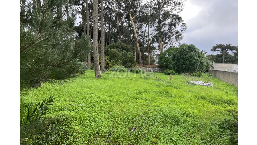 Terreno para Venda em São João das Lampas e Terrugem Foto 9