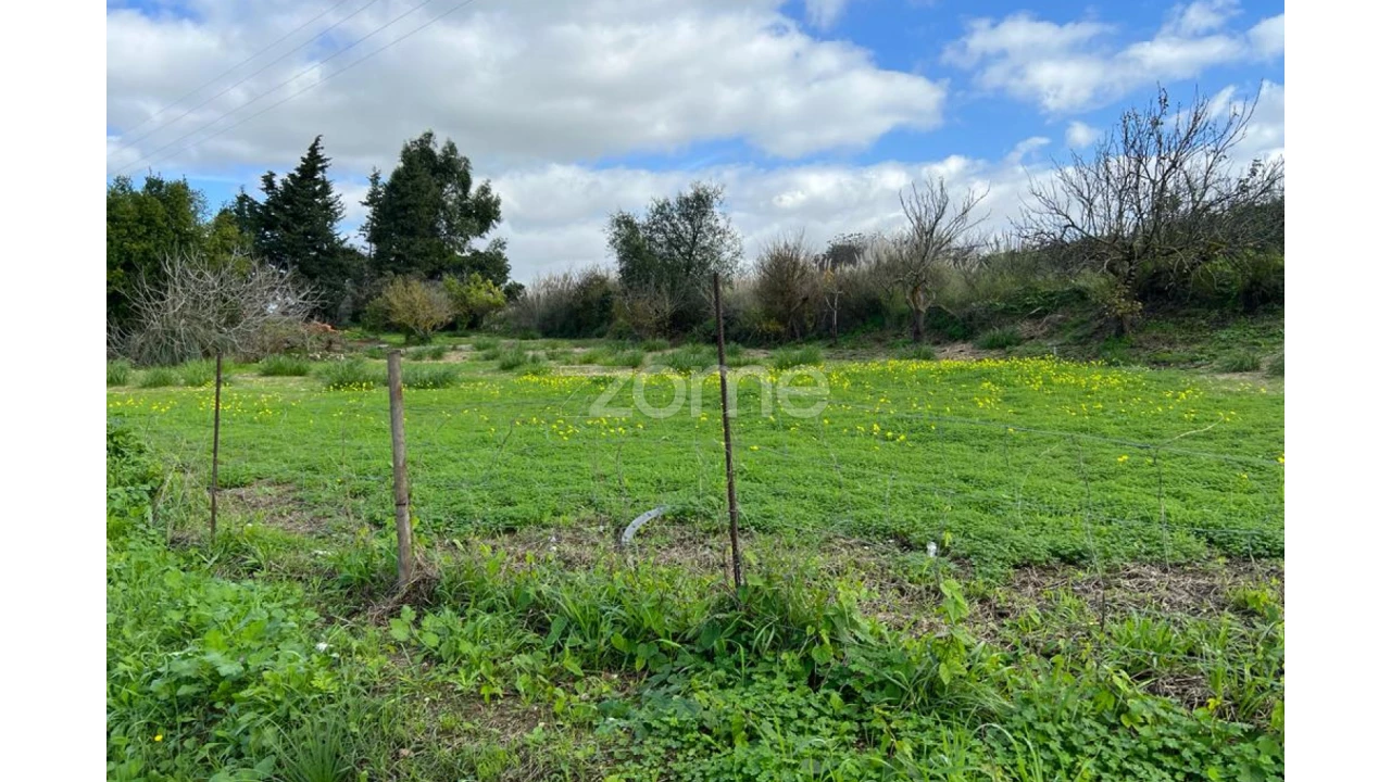 Terreno para Venda em Oeiras e São Julião da Barra, Paço de Arcos e Caxias Foto 3