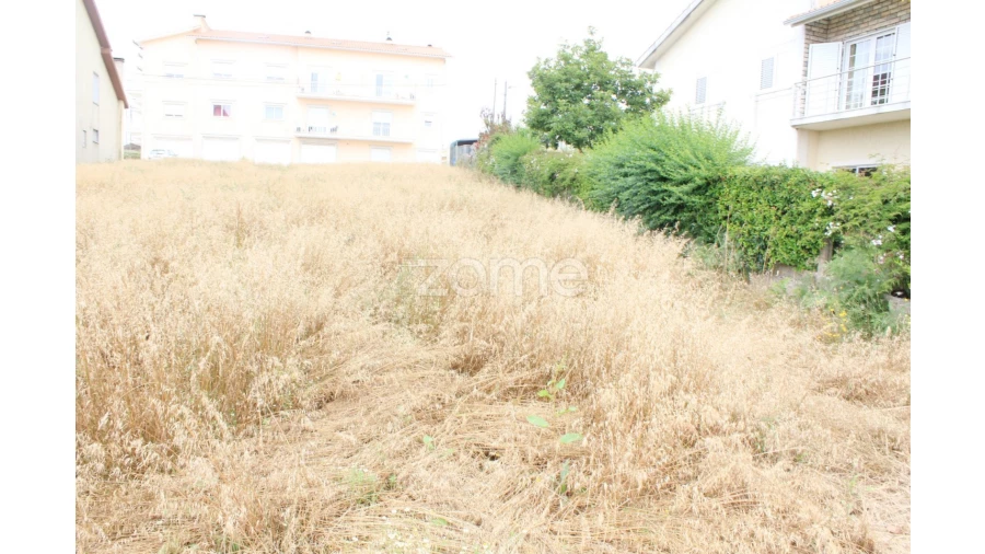 Terreno para Venda em Lorvão Foto 3