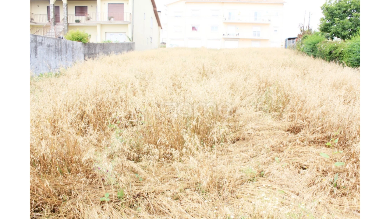 Terreno para Venda em Lorvão Foto 4