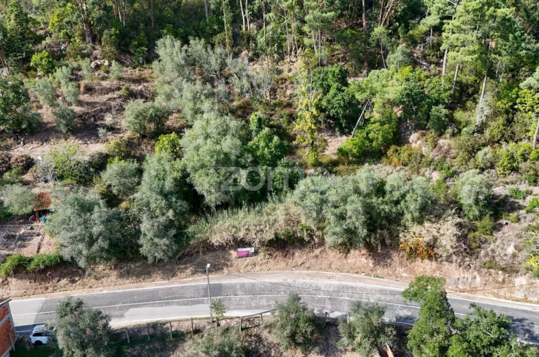 Terreno para Venda em Santa Clara e Castelo Viegas Foto 14