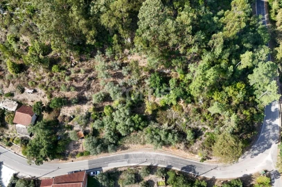 Terreno para Venda em Santa Clara e Castelo Viegas