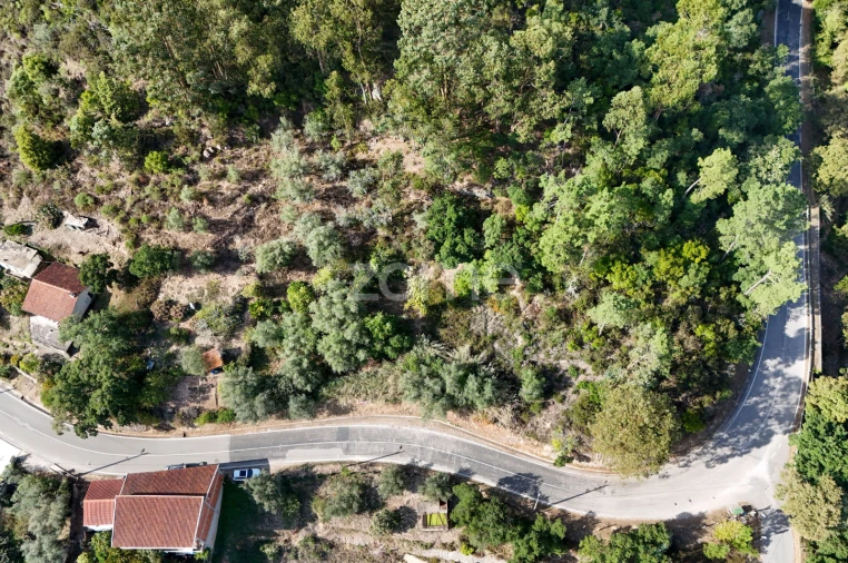 Terreno para Venda em Santa Clara e Castelo Viegas Foto 11