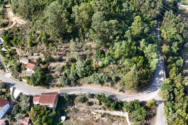 Terreno para Venda em Santa Clara e Castelo Viegas Foto 13