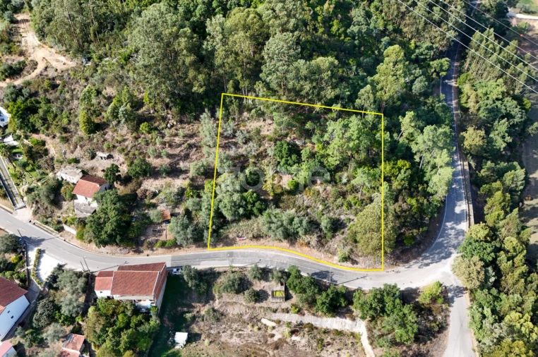 Terreno para Venda em Santa Clara e Castelo Viegas Foto 2