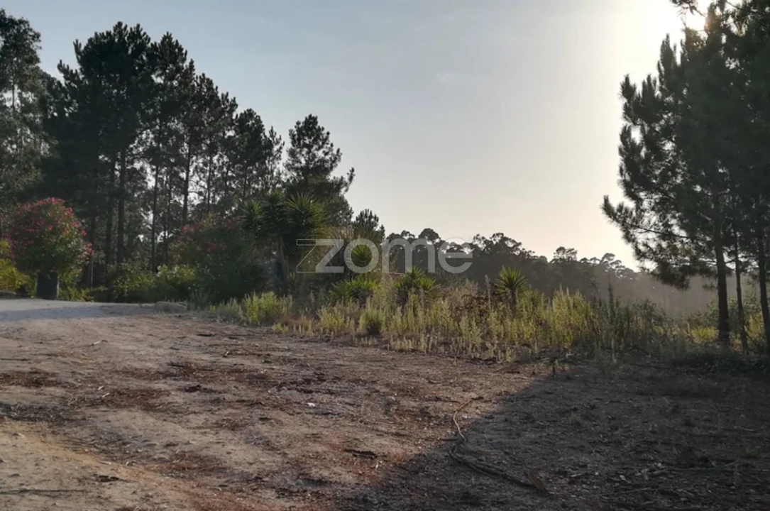 Terreno para Venda em Maceira Foto 2