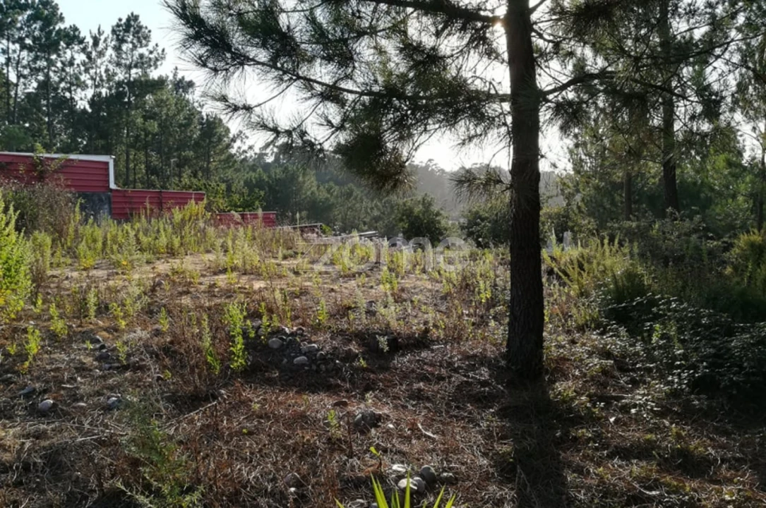 Terreno para Venda em Maceira Foto 12