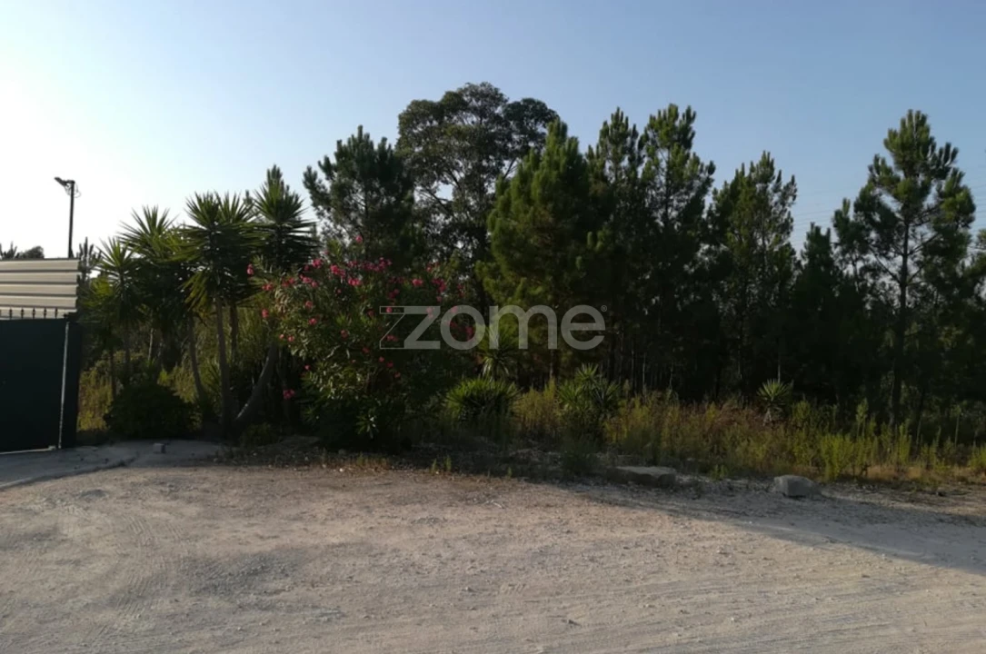 Terreno para Venda em Maceira Foto 4