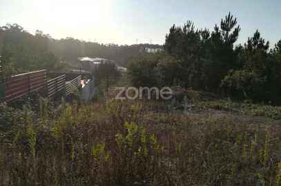 Terreno para Venda em Maceira