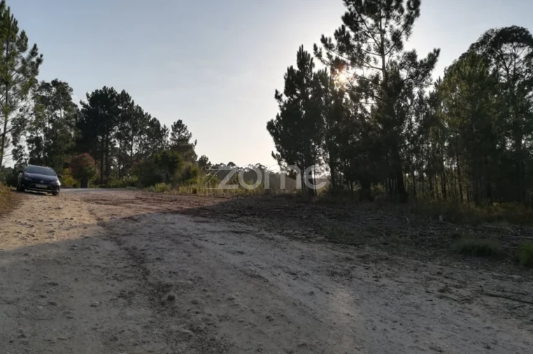 Terreno para Venda em Maceira Foto 3