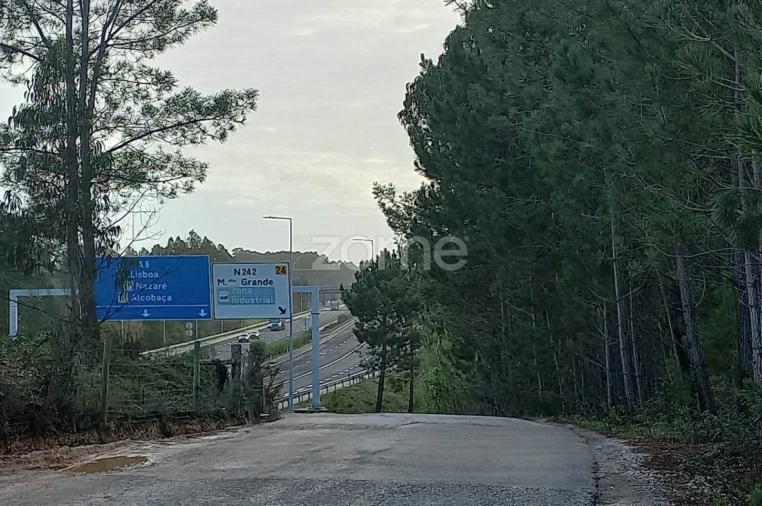 Terreno para Venda em Maceira Foto 8