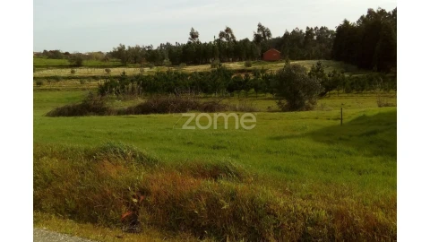 Terreno para Venda em Vinha da Rainha