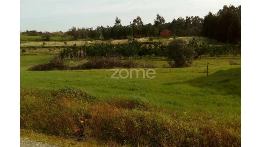Terreno para Venda em Vinha da Rainha Foto 1