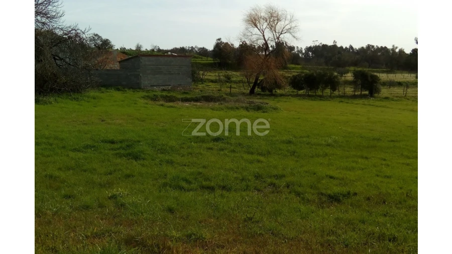 Terreno para Venda em Vinha da Rainha Foto 2