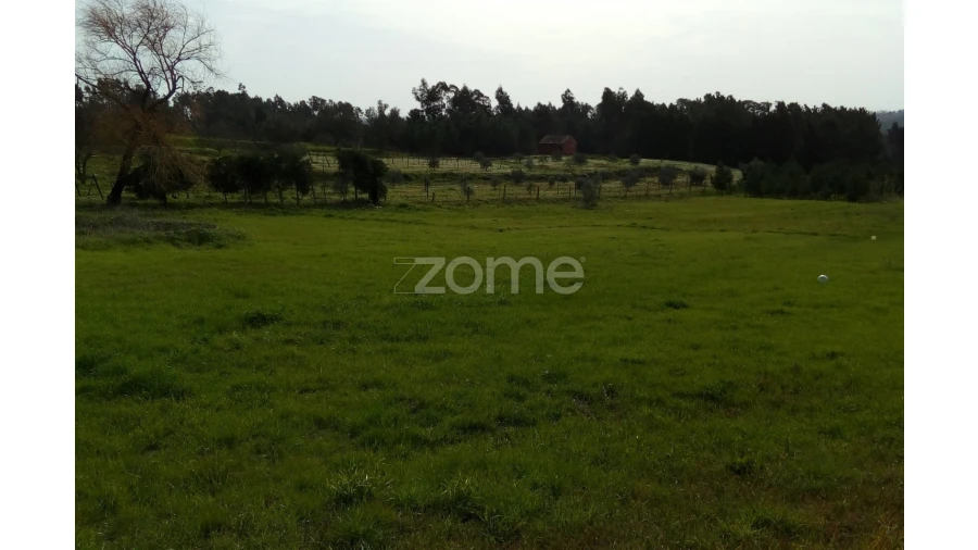 Terreno para Venda em Vinha da Rainha Foto 1