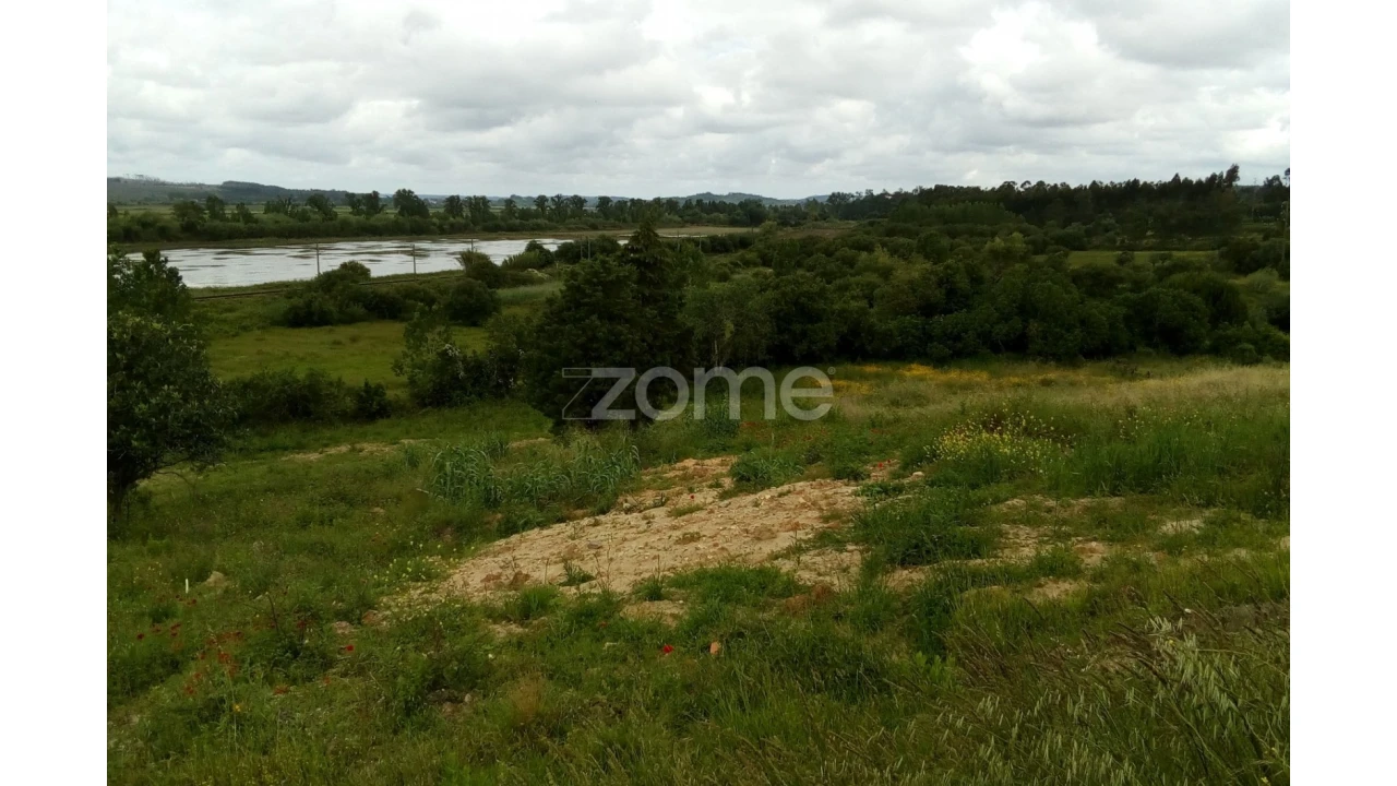 Terreno para Venda em Vila Nova de Anços Foto 7