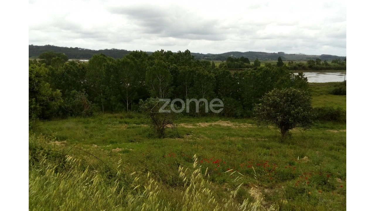 Terreno para Venda em Vila Nova de Anços Foto 8