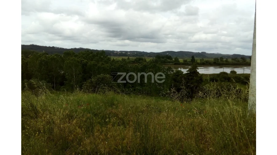 Terreno para Venda em Vila Nova de Anços Foto 6