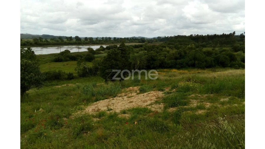 Terreno para Venda em Vila Nova de Anços Foto 7