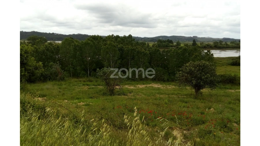 Terreno para Venda em Vila Nova de Anços Foto 8