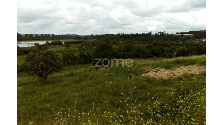 Terreno para Venda em Vila Nova de Anços Foto 9