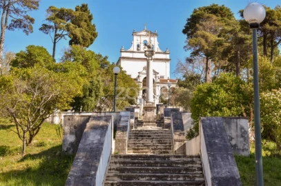 Terreno para Venda em Souto da Carpalhosa e Ortigosa