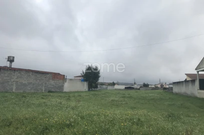 Terreno para Venda em Souto da Carpalhosa e Ortigosa