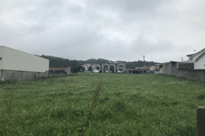 Terreno para Venda em Souto da Carpalhosa e Ortigosa