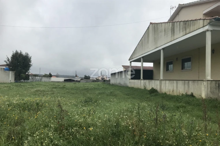 Terreno para Venda em Souto da Carpalhosa e Ortigosa Foto 5