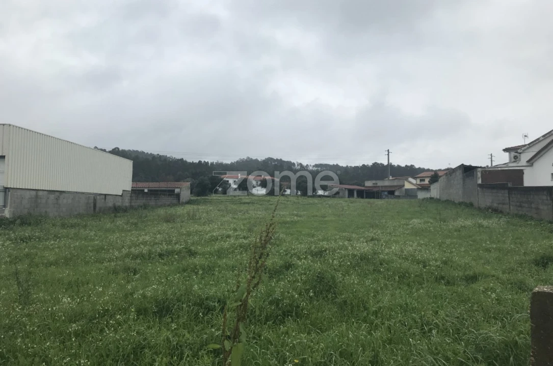 Terreno para Venda em Souto da Carpalhosa e Ortigosa Foto 3