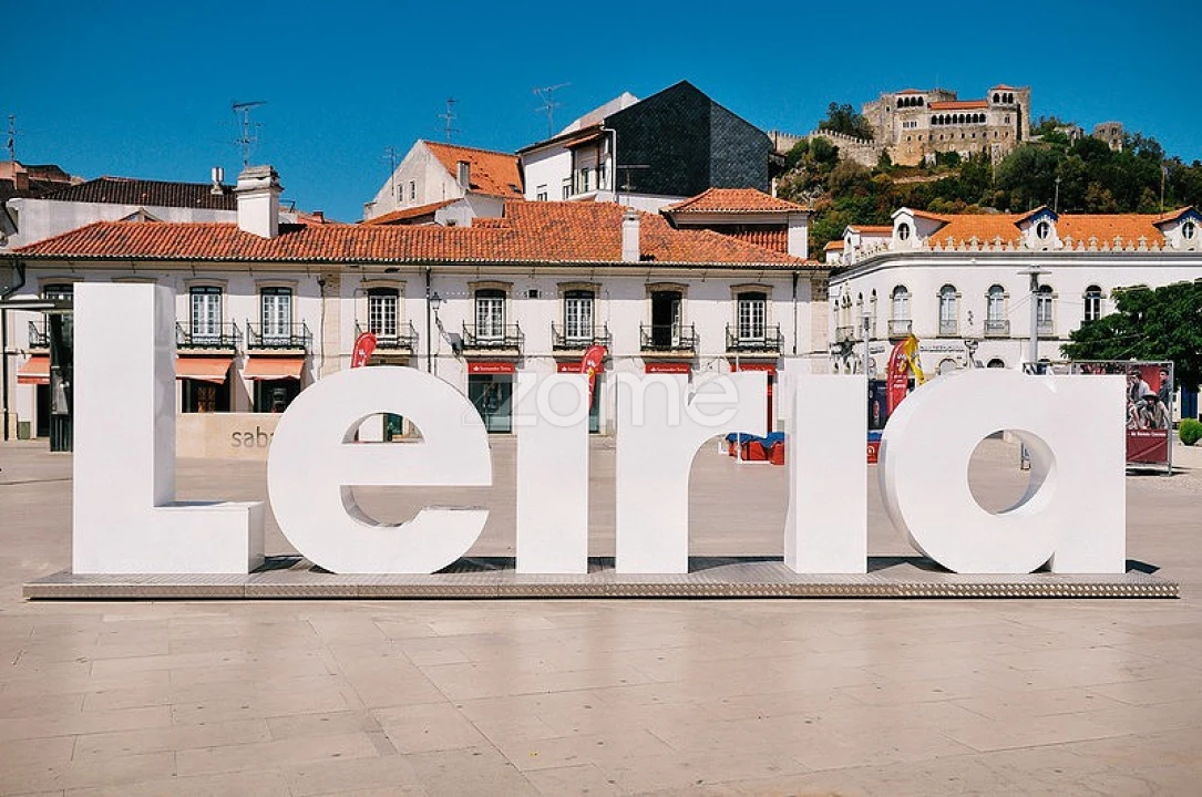 Terreno para Venda em Souto da Carpalhosa e Ortigosa Foto 14