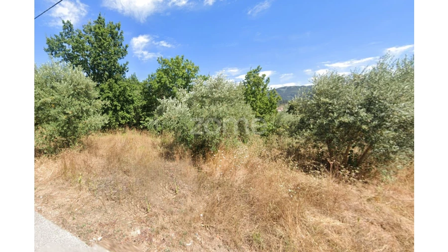 Terreno para Venda em Miranda do Corvo Foto 3