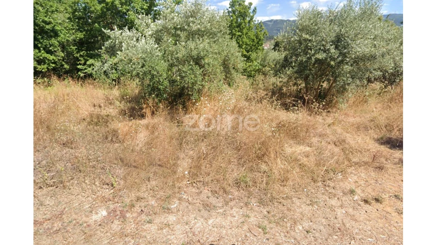 Terreno para Venda em Miranda do Corvo Foto 2
