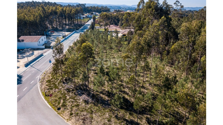 Terreno para Venda em Milagres Foto 10